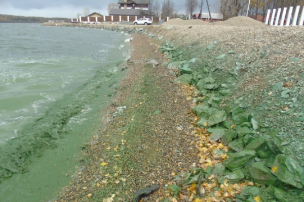 Письмо тагильчан к Куйвашеву по поводу токсичного пруда дошло до Европы - Фото 1