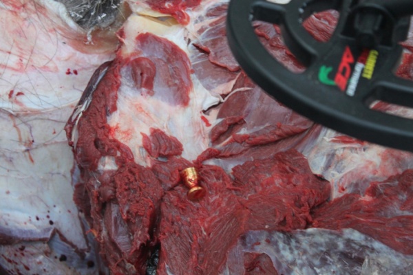 В Нижних Сергах задержали браконьера, который убил лося для новогоднего стола. ФОТО 18+ - Фото 1