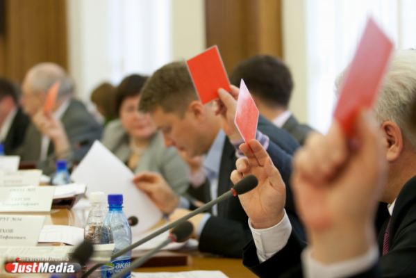 Екатеринбургские депутаты попросили обучить их заполнять декларации о доходах - Фото 1