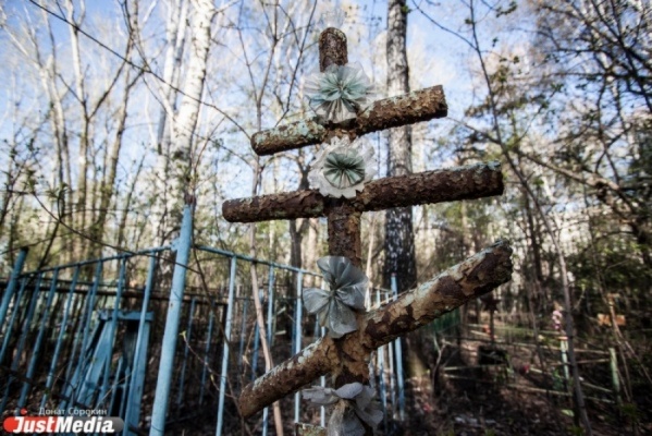 В Шарташском лесопарке нашли незаконное кладбище. Его площадь - полгектара - Фото 1