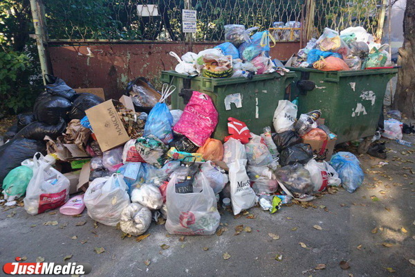 В Свердловской области опять могут перенести ввод «мусорной» реформы - Фото 1