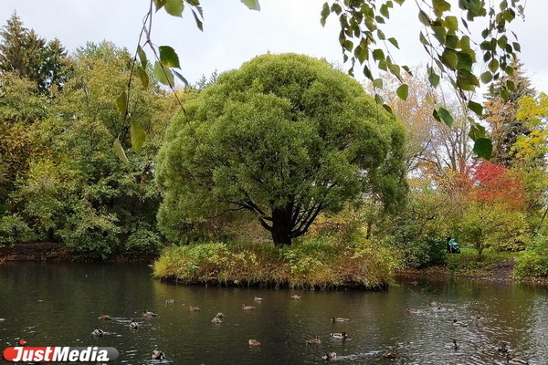 В Екатеринбурге уже завтра стартует голосование о том, что благоустроить в 2021 году - Фото 1