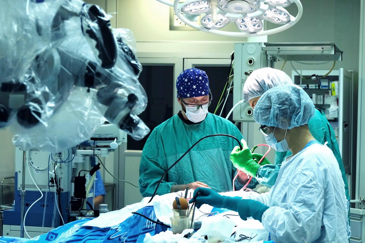 Врачи со всей страны перенимают опыт свердловских нейрохирургов в лечении рака четвертой стадии - Фото 1