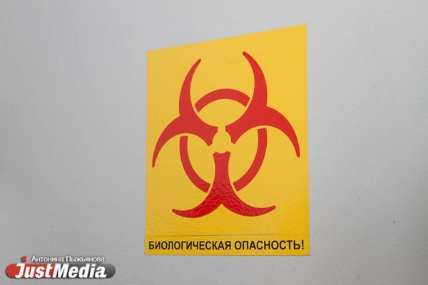 За неделю в Свердловской области два человека умерли от коронавируса - Фото 1