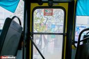 В Березовском пассажирке автобуса выплатят 100 тысяч рублей за травму