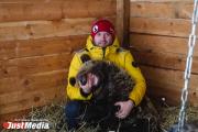 В центре по спасению диких животных под Екатеринбургом умер медведь Потапыч
