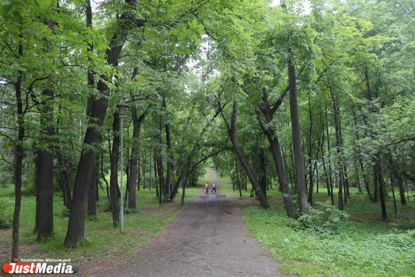Уральские эксперты выяснили, что мешает девелоперам создавать парки - Фото 2
