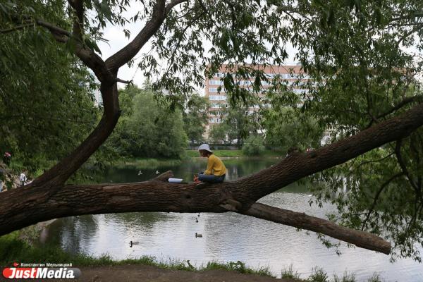 Уральские эксперты выяснили, что мешает девелоперам создавать парки - Фото 3
