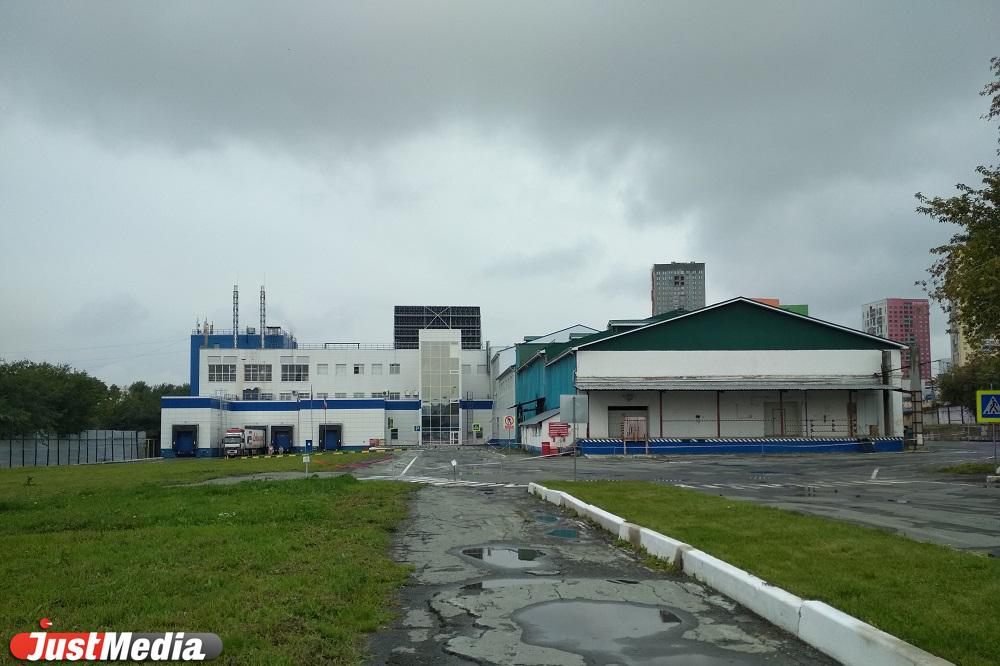 По Екатеринбургскому городскому молочному заводу начали водить экскурсии - Фото 1
