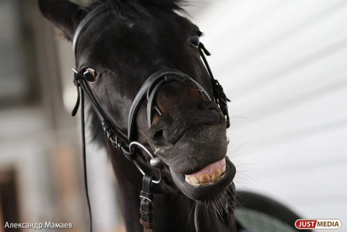 Министр Андрей Злоказов и чемпион Сергей Чепиков приобщат детей-инвалидов к спорту - Фото 1