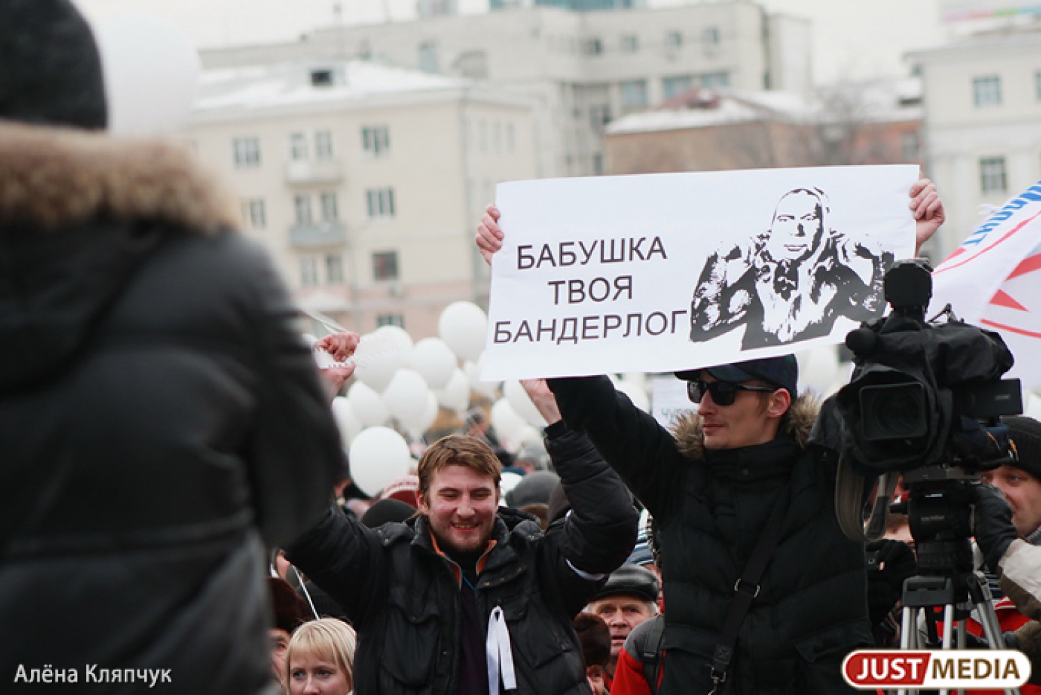 Статья закона о митингах