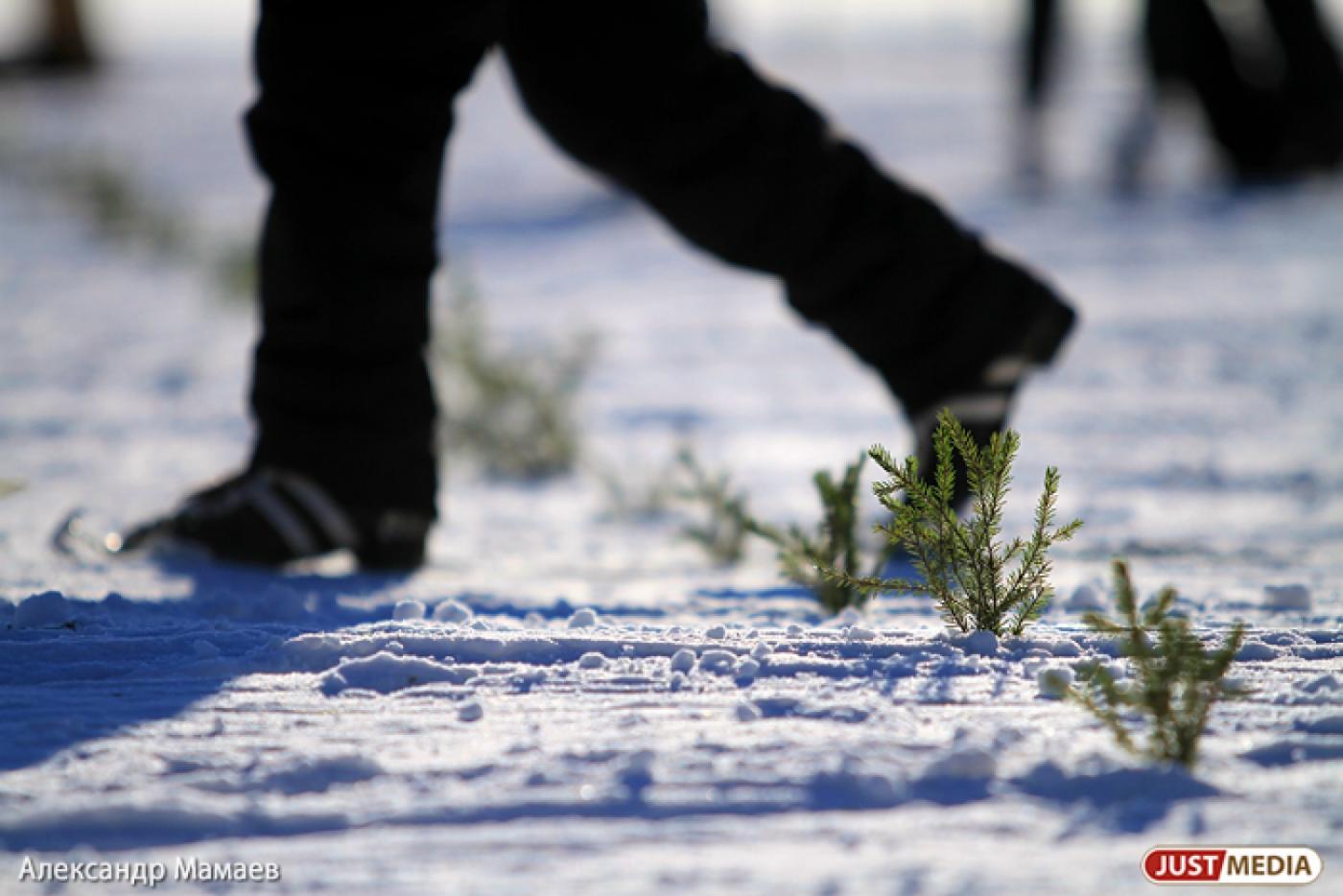 Участникам первых на Урале соревнований по пара-ски так и не удалось подняться в небо. Помешала погода - Фото 1