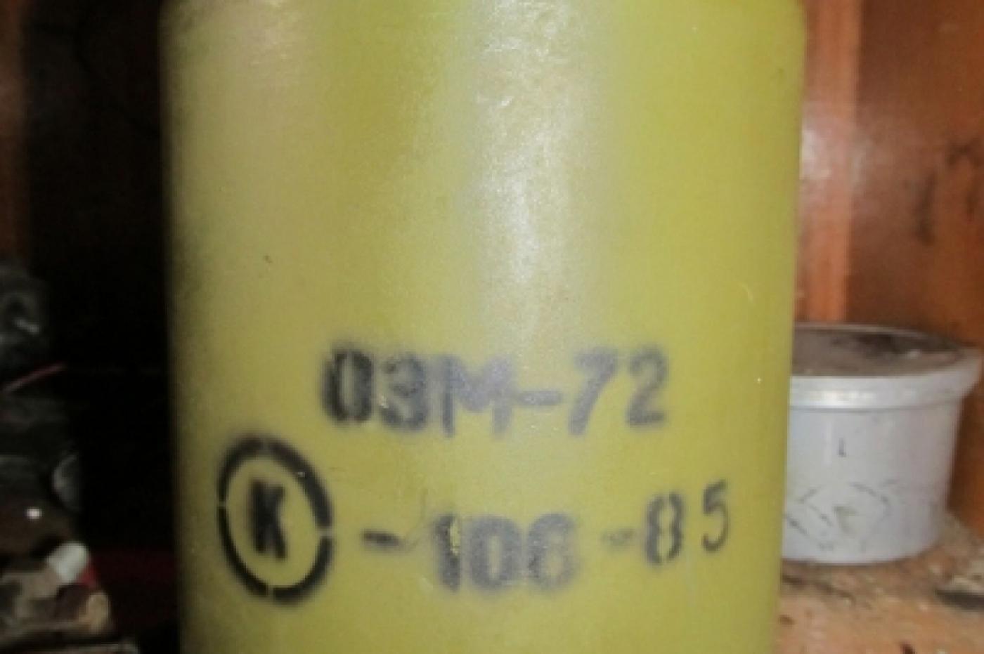 Полицейский из Верх-Нейвинска нашел в одном из сельских дворов противопехотную мину - Фото 1