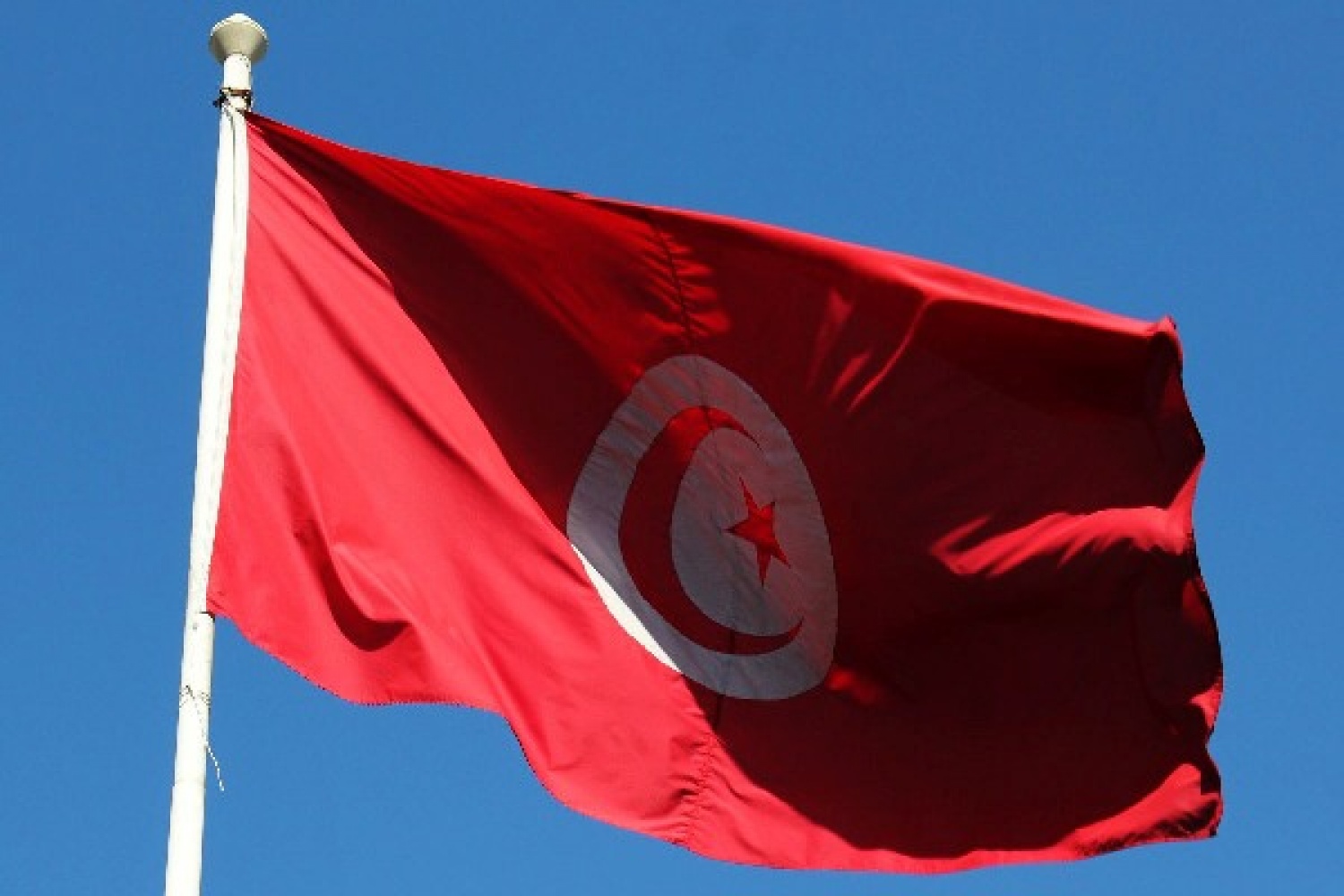 Президент и флаг Туниса