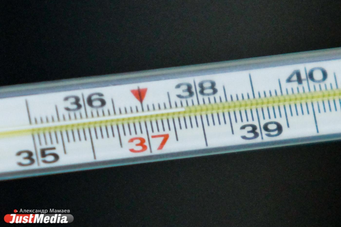 Заболеваемость ОРВИ и гриппом на Среднем Урале продолжает снижаться - Фото 1