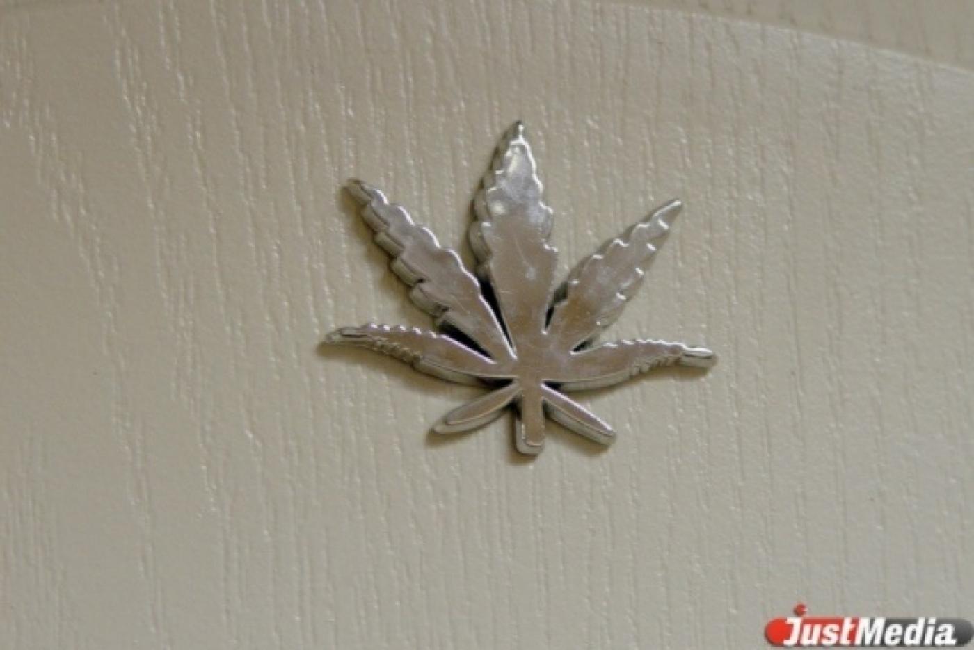 Житель Лесного задержан за выращивание конопли - Фото 1