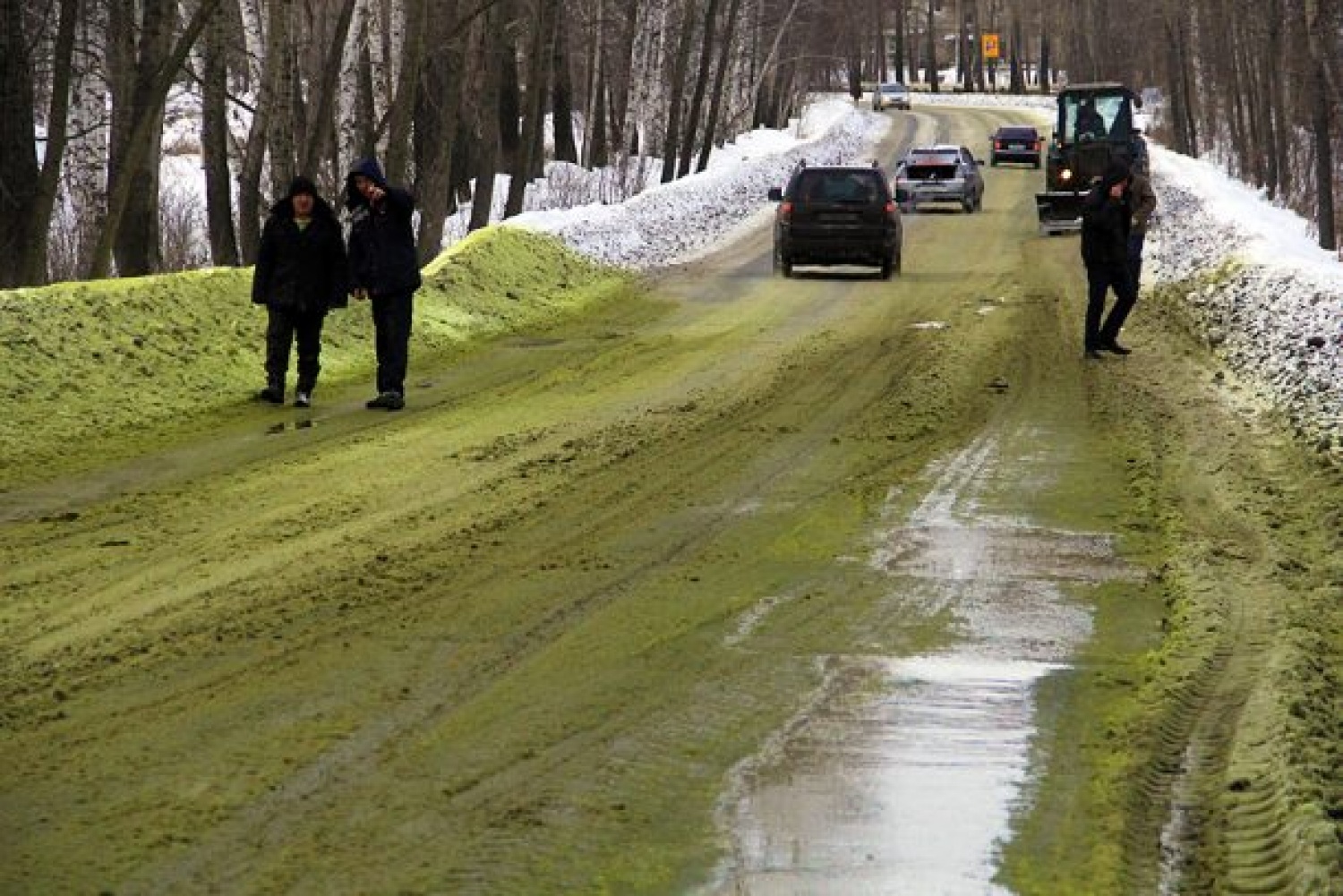 Аномалия в Первоуральске! Снег в городе окрасился в кислотно-зеленый цвет.  Общество - JustMedia.ru, 30.11.2016