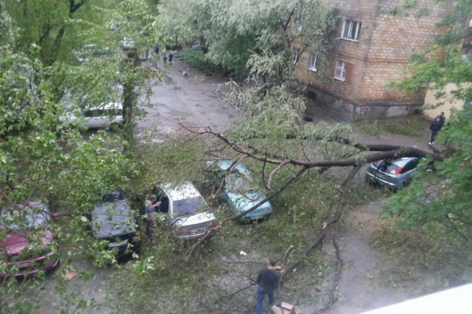 Смерч в нижнем тагиле. Ураган в Нижнем Тагиле. Ураганный ветер Нижний Тагил. Фотографии последствие урагана в Нижнем Тагиле.