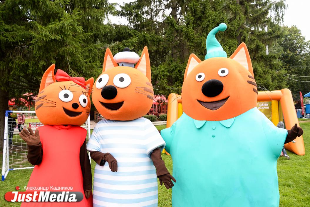 Герои мультфильма Коржик, Карамелька и Компот: «Три Кота желают всем хорошего настроения и больше солнца! Миу-миу-миу!». В понедельник в Екатеринбурге +18 - Фото 1