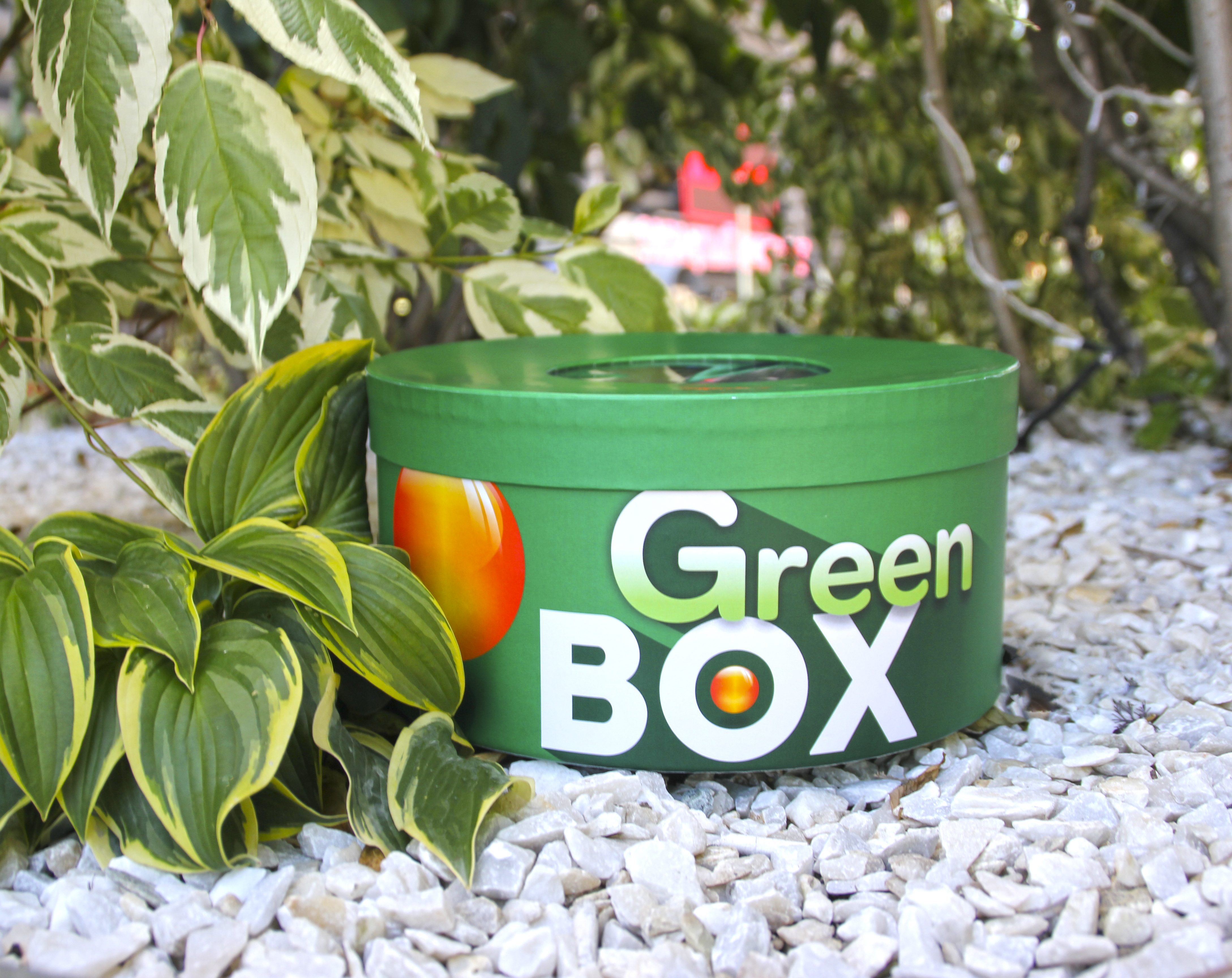 Greenbox. ГРИНБОКС логотип. ГРИНБОКС СПБ. Грин бокс. ГРИНБОКС Альметьевск.