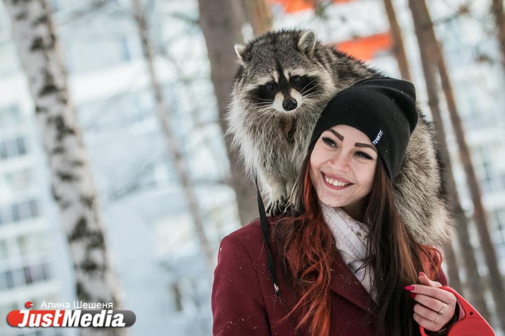 Дарья Вепрева и енот Ракета: «Желаем вам теплых деньков». В Екатеринбурге -11 - Фото 1