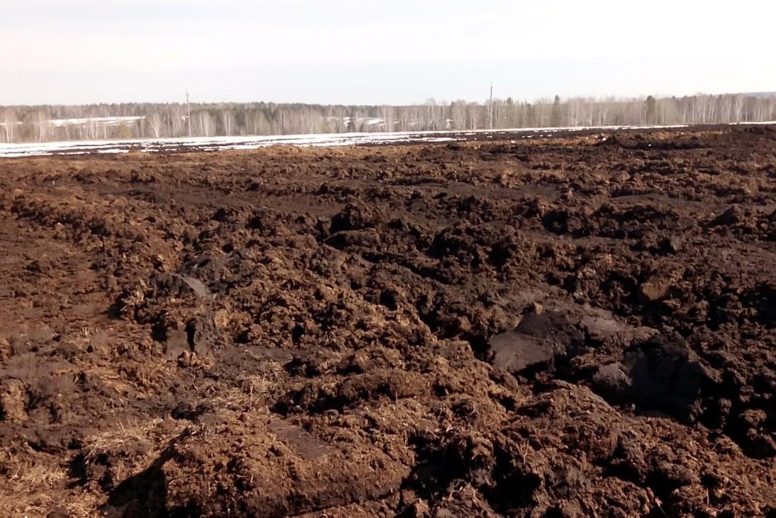 В Нижнесергинском районе поселок завалили куриным пометом. Возбуждено уголовное дело - Фото 1