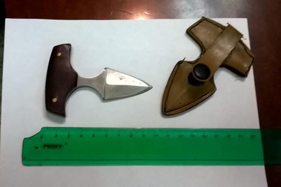 В Каменске-Уральске 54-летняя местная жительница принесла в суд необычный нож - Фото 1