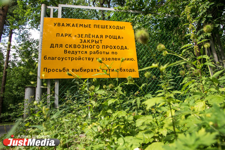 Расписание зеленый городок половина. Кладбище в зеленой роще. Зеленая роща. Парк зеленая роща Екатеринбург фото. Парк зеленая роща Саранск.