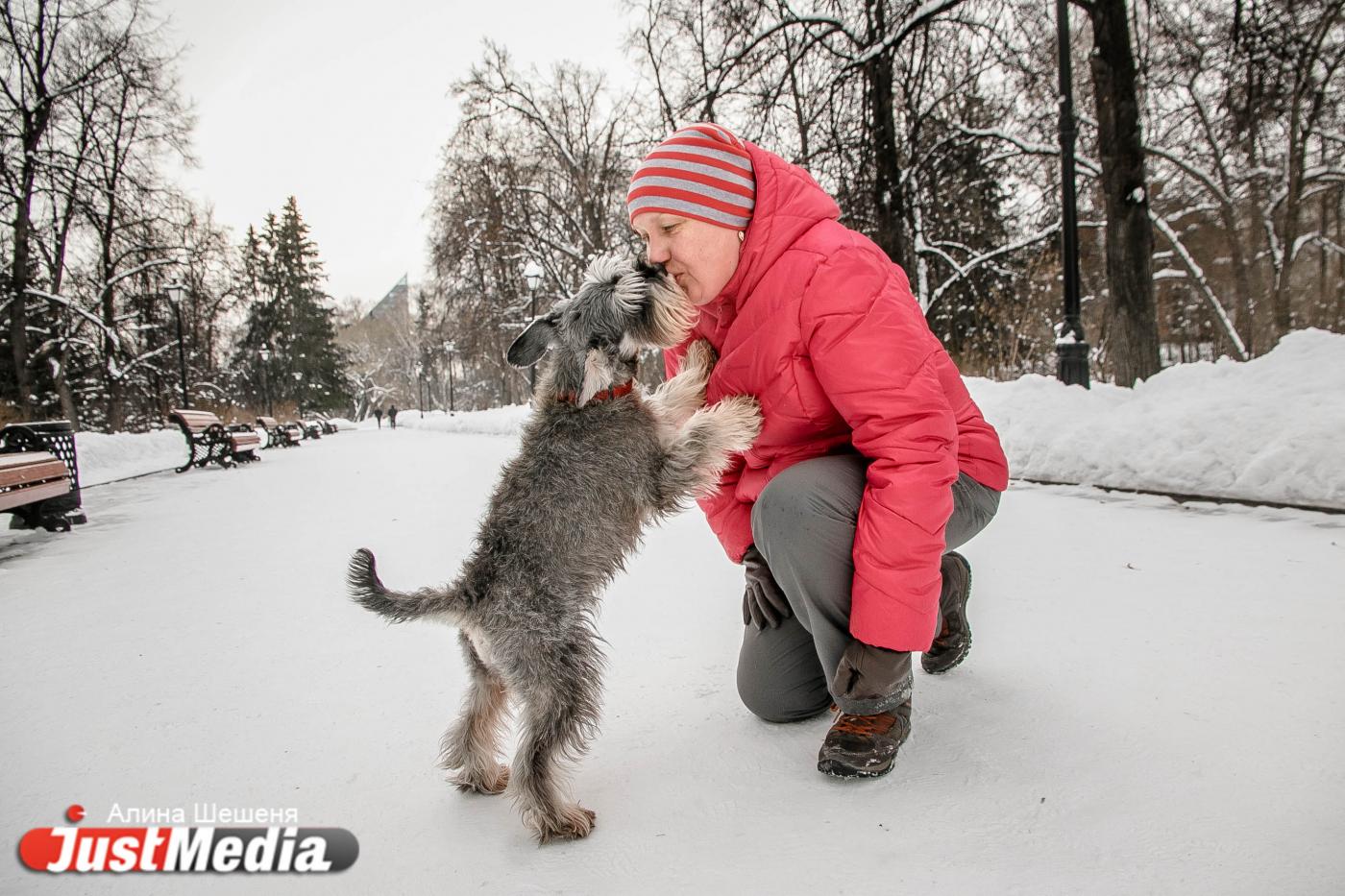 Ирина Лешукова, дрессировщик с цверкшнауцером: «Замечательная зима, можно гулять и играть с собакой». В Екатеринбурге +1 - Фото 1