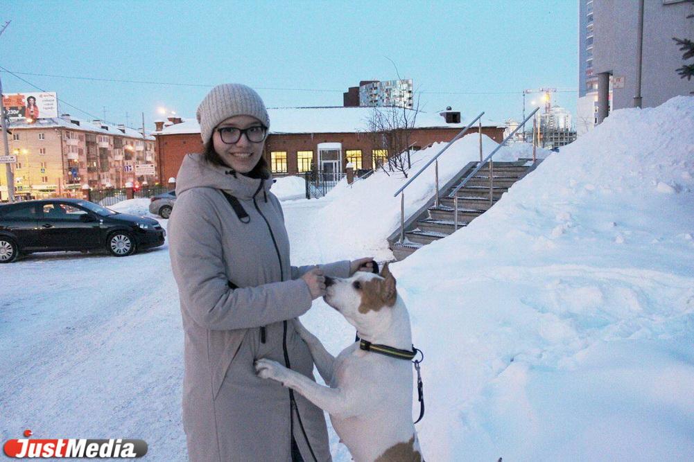 Карина Низамова, тренер стаффорда: «Хлоя очень любит скакать по сугробам, и это у нее не отнять». В Екатеринбурге -5 и небольшой снег - Фото 1