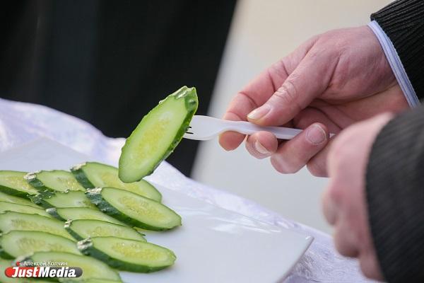 В свердловском Роспотребнадзоре объяснили, почему они против вегетарианского меню в школах - Фото 1