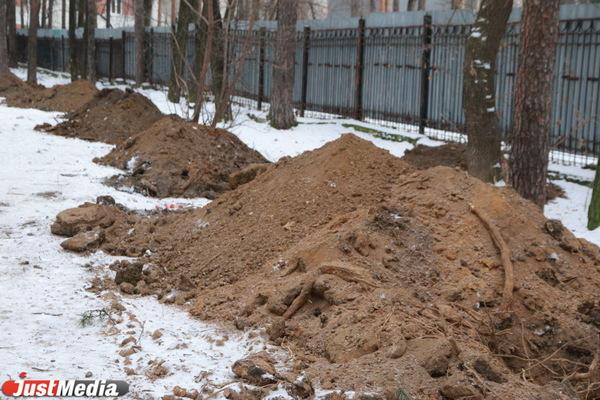 Студентов Горного университета хотят «бросить» на защиту Зеленой рощи от вандалов - Фото 1