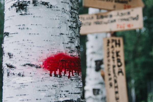 Спектакли на местах захоронений запретят - Фото 1