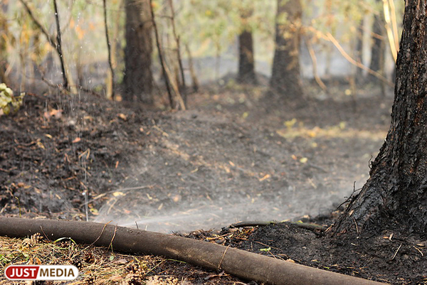 Лесные пожары в свердловской области фото