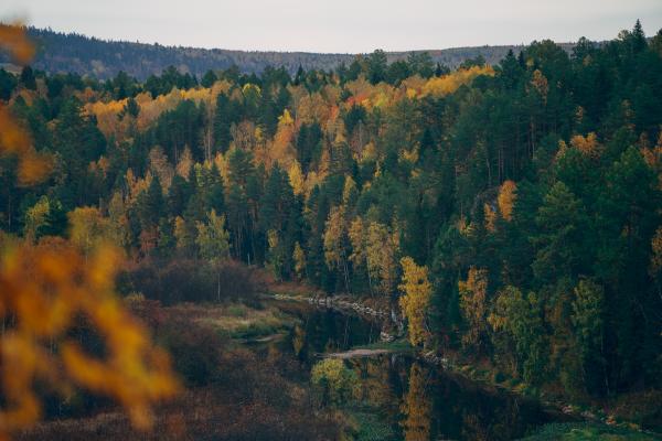 «Нужно успевать наслаждаться теплой и красивой осенью» В Екатеринбурге +10 градусов - Фото 1
