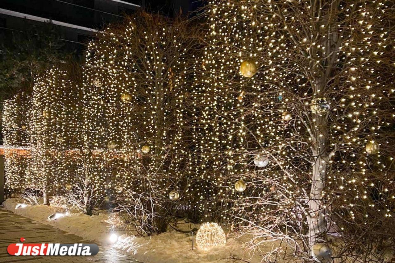 «Морозы потихоньку отступают». В Екатеринбурге -16 градусов - Фото 1