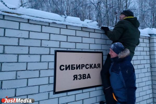 В Туве зафиксировано подозрение на сибирскую язву - Фото 1