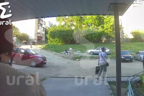 Амстафф напал на женщину с собакой-инвалидом в Миассе - Фото 1