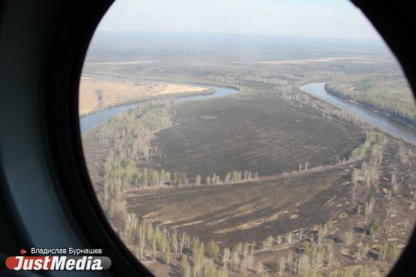 Свердловские пожарные за сутки потушили более 100 га лесных пожаров - Фото 1
