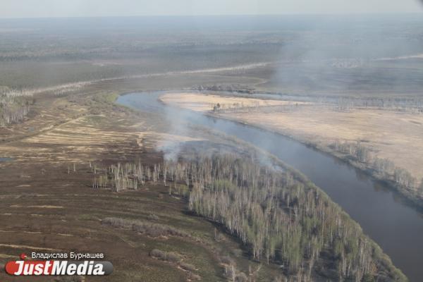 В Свердловских лесах потушили девять природных пожаров - Фото 1