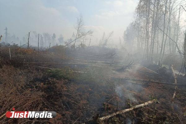 Жители Ольховки утверждают, что торфяной пожар угрожает поселку - Фото 1