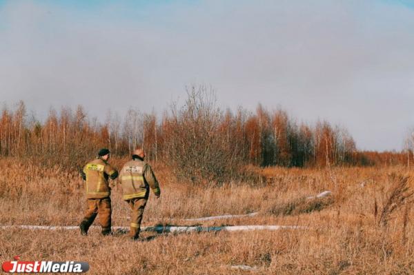 Евгений Куйвашев выделил из бюджета более миллиона рублей на выплаты добровольцам, тушившим лесные пожары - Фото 1