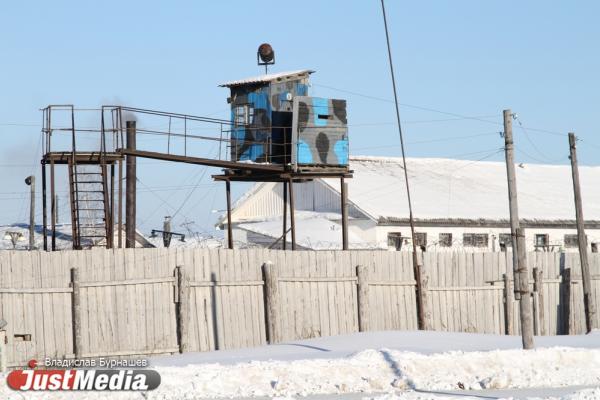 В Свердловской области закрылись три исправительные колонии - Фото 1