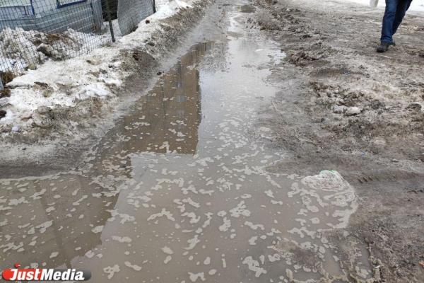 Из морозов в аномальное тепло: в Екатеринбурге самое теплое 22 декабря за 70 лет - Фото 1