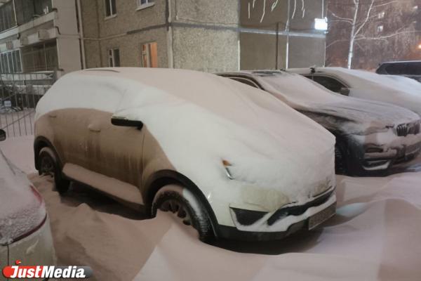 Екатеринбург установил двойной рекорд по количеству выпавшего снега - Фото 1