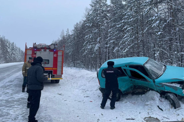 Под Екатеринбургом два автомобиля столкнулись в смертельном ДТП - Фото 1