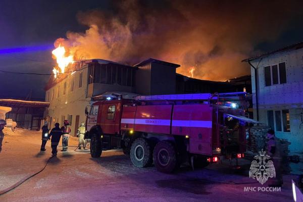 Под Екатеринбургом крупный пожар на складах «Жизньмарт» - Фото 1