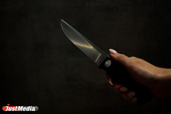 Суд оштрафовал жителя Сухого Лога, который кинулся с ножом на полицейского - Фото 1