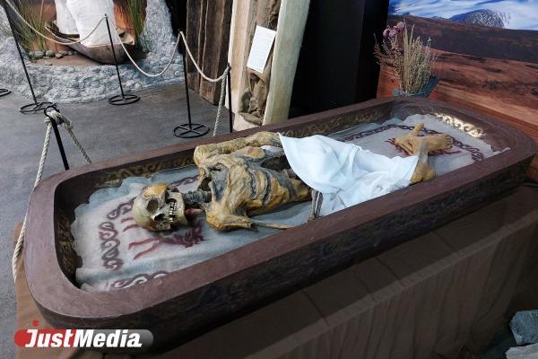 В Санкт-Петербурге из-за прорыва трубы нашли в жилом доме мумию мужчины - Фото 1