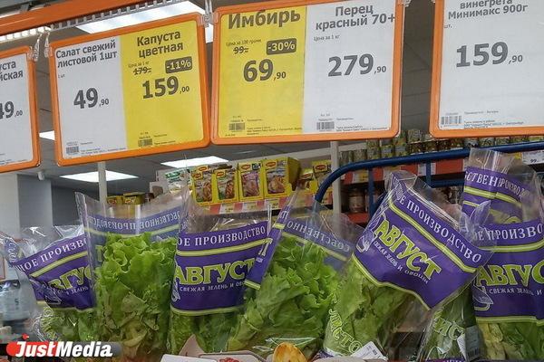 Лучшие сорта капусты для Урала - Фото 1